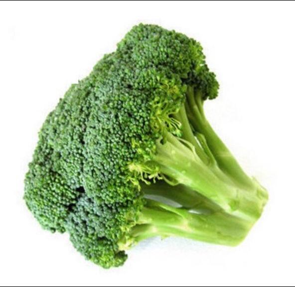 Broccoli