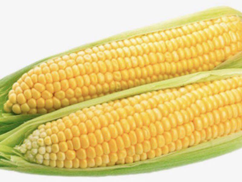 Sweet Corn