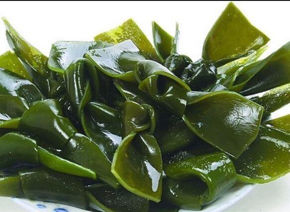 Seaweed Kelp